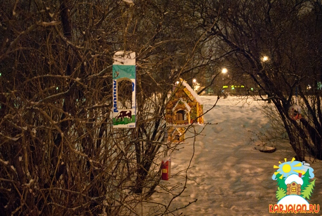 кормушка для птиц в Петрозаводске