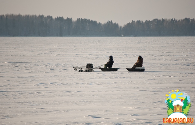 мотособака